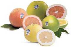 img-grapefruit-varieties