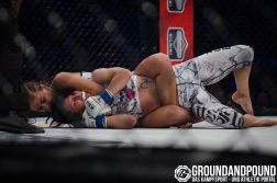 Courtesy Ground and Pound Germany