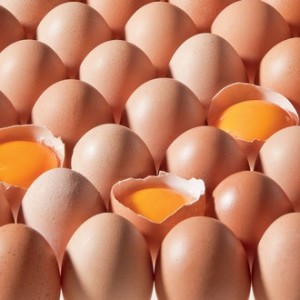 brown_eggs
