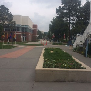 Colorado Springs OTC